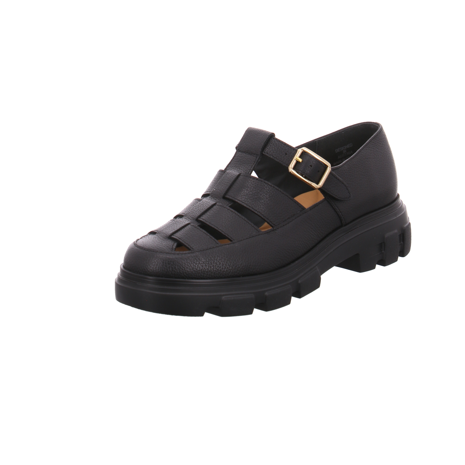 Paul Green 1204-049 Maincalf