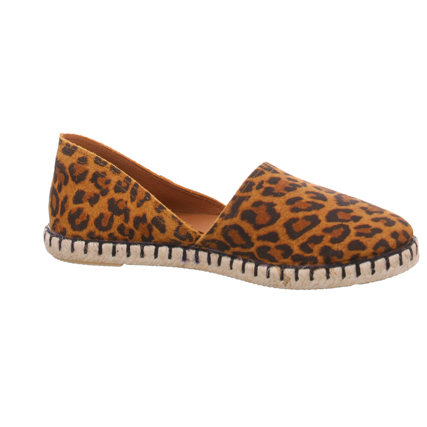 Verbenas 0300580889 Carmen Leo