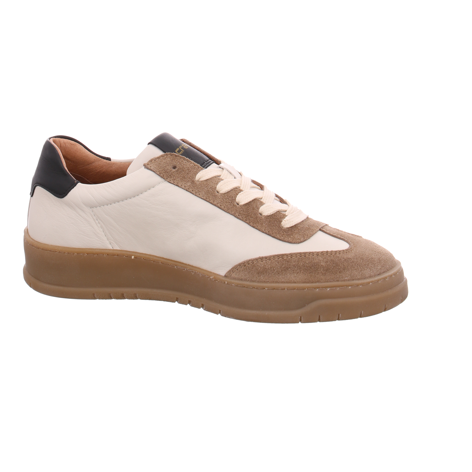 Creator SH 4250 taupe