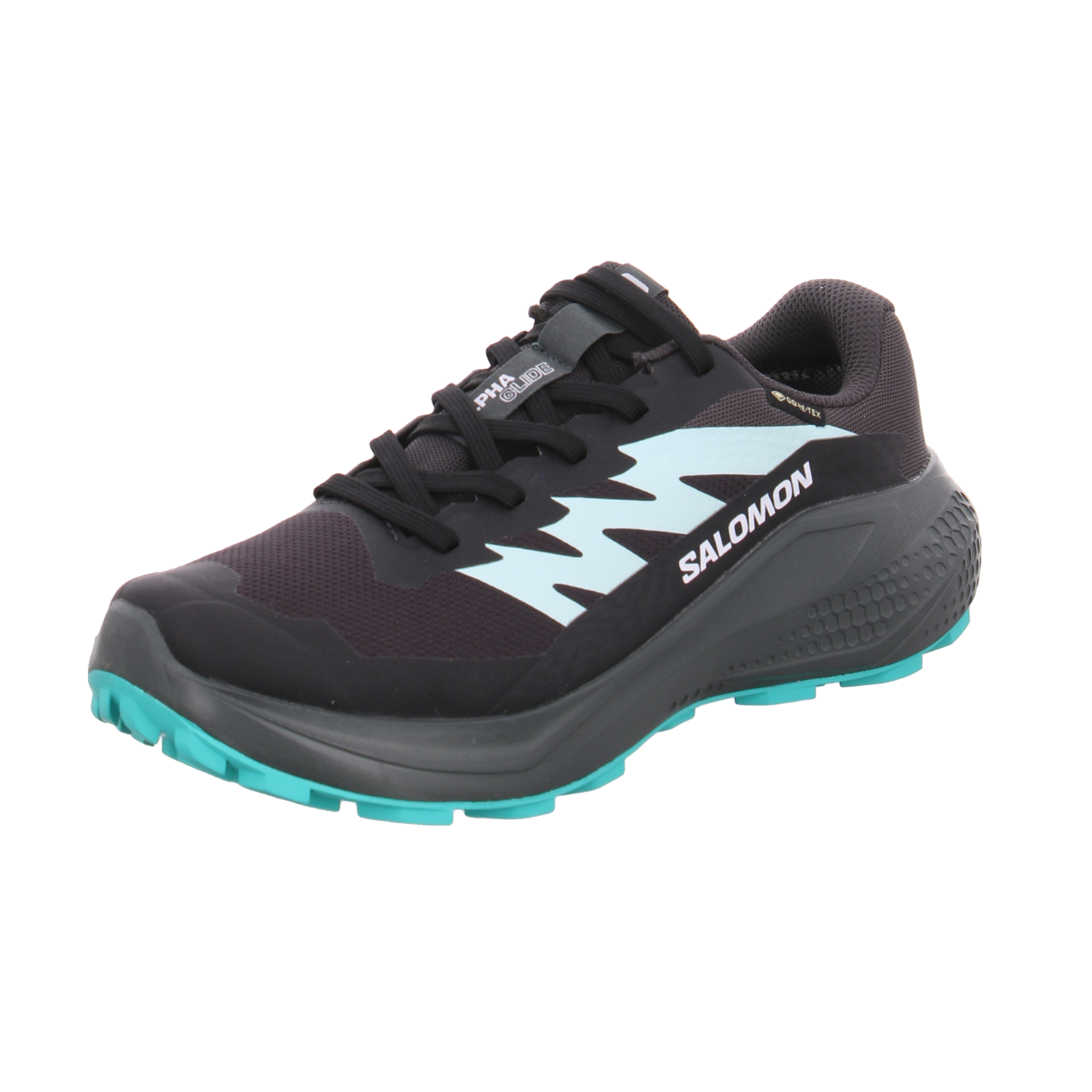Salomon L47802400/333 GTX  W