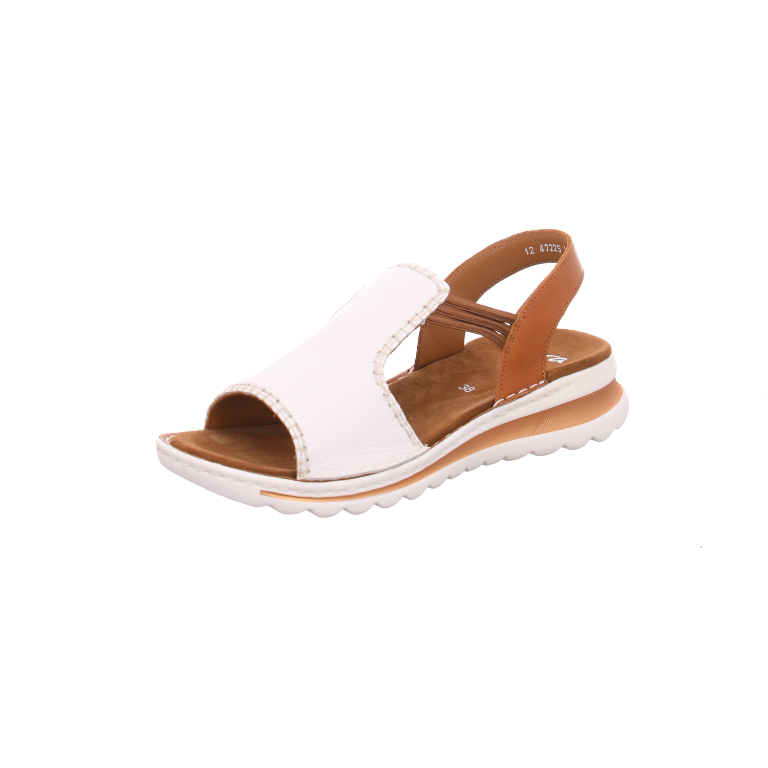 Ara 12-47225-14 Tampa