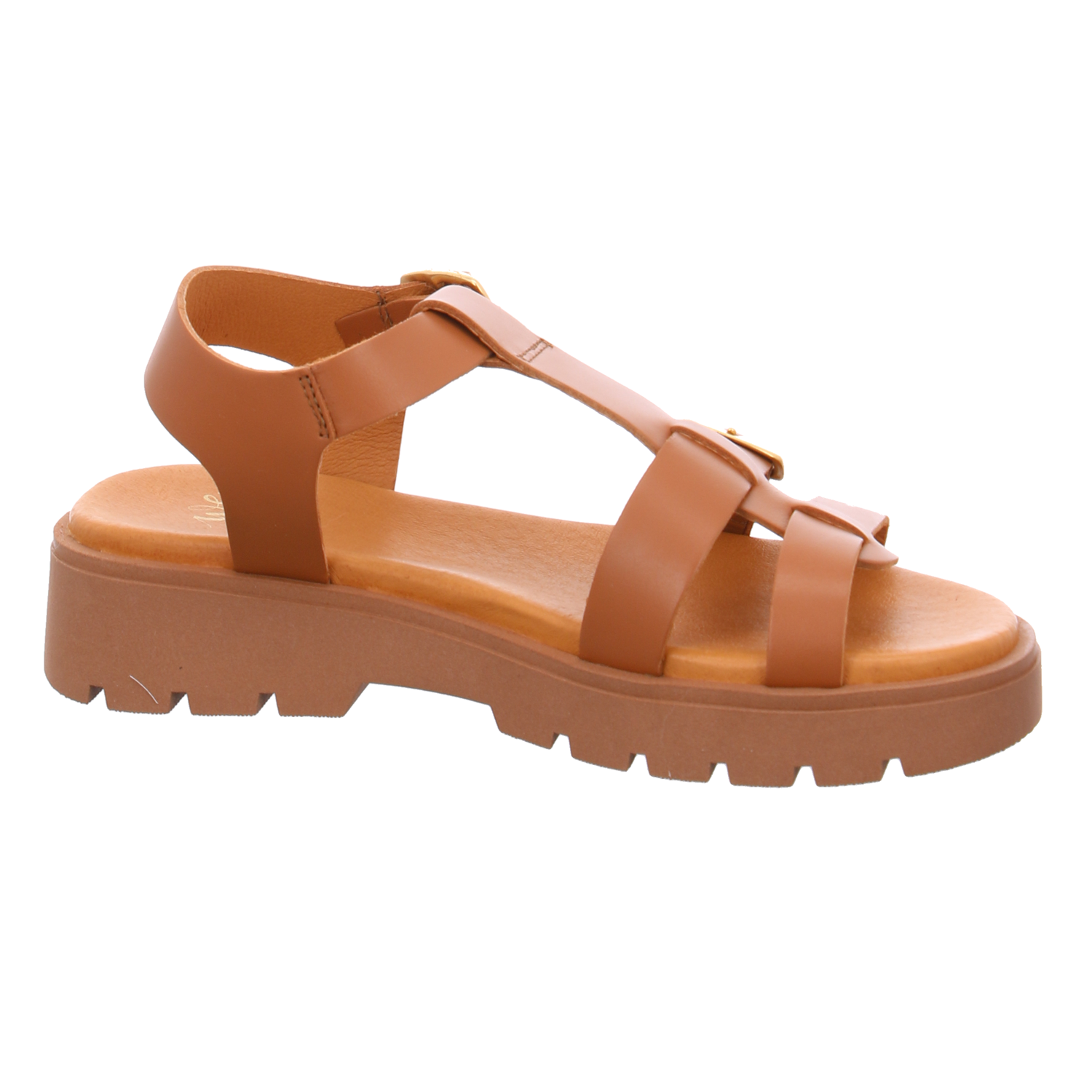 WeDo co45420a camel