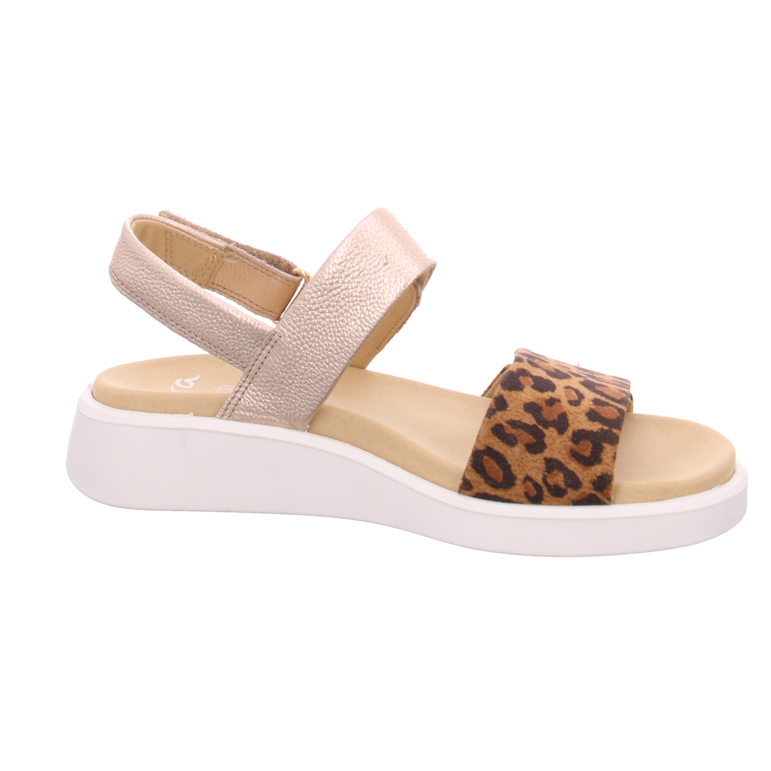 Ara 1221401-07 Madeira