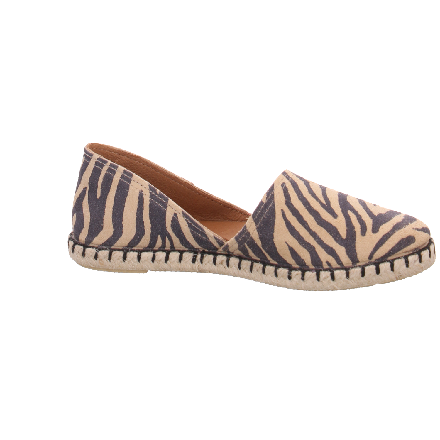 Verbenas 0300580317 Carmen Zebra