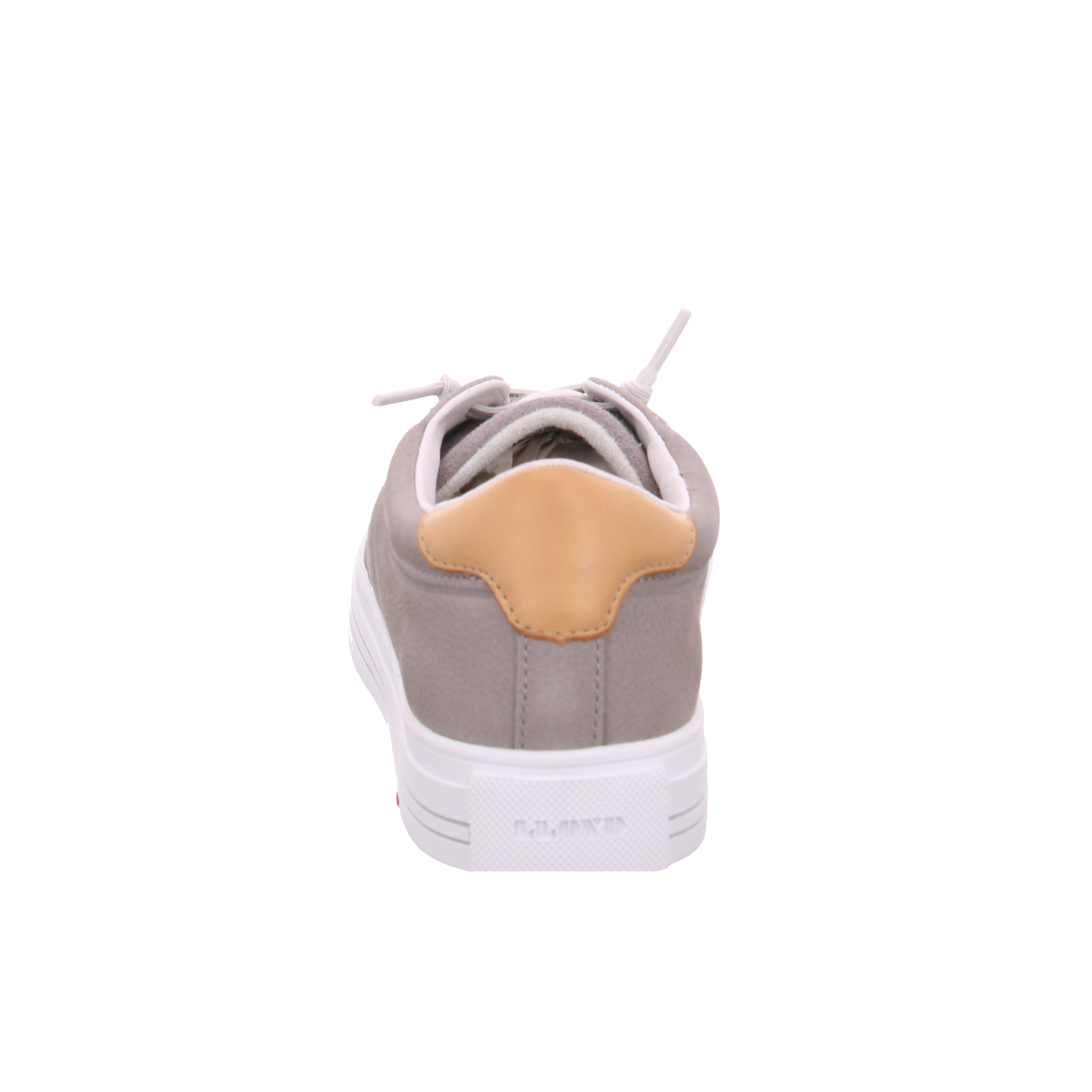 LLOYD 15-425-12 Enrico