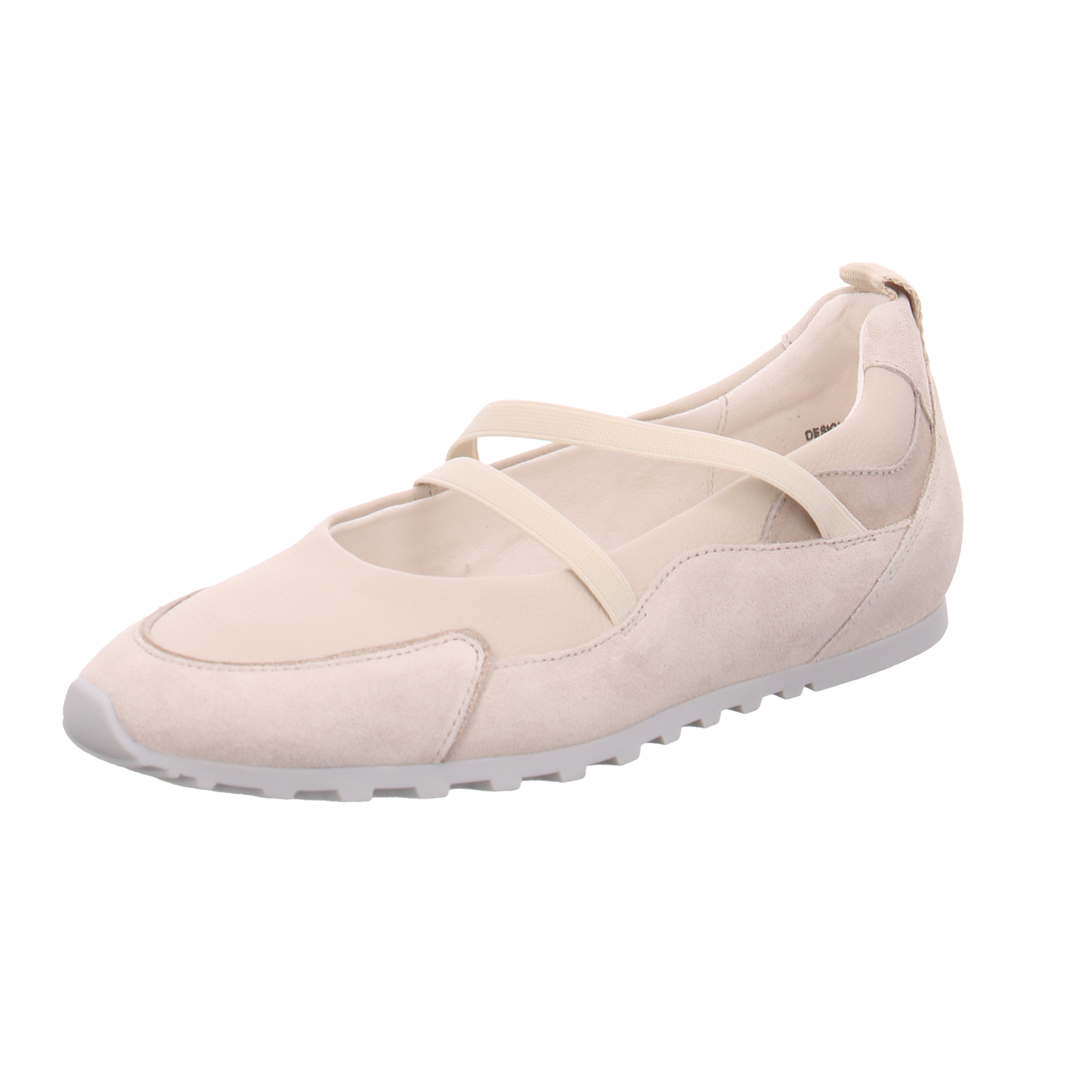 Paul Green 1191,019 bisquit