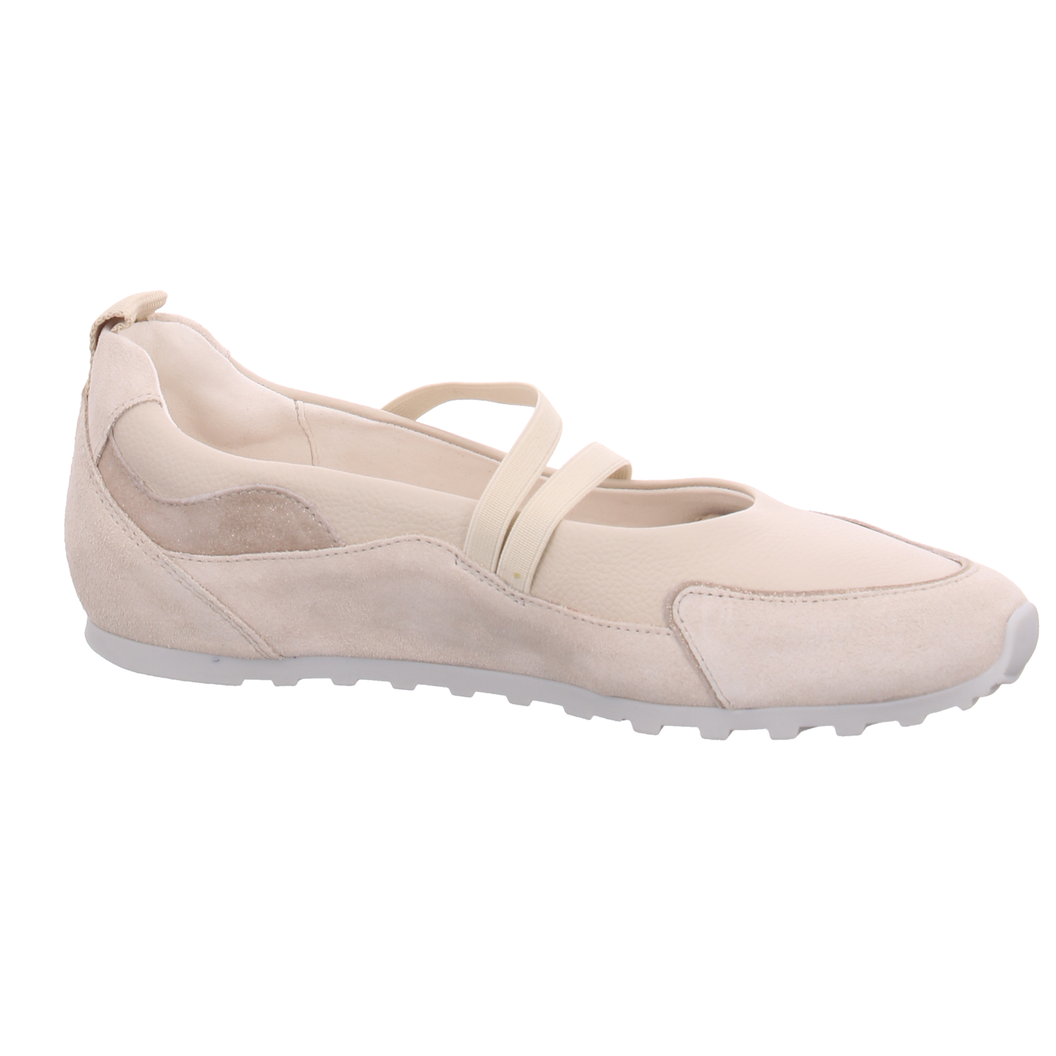 Paul Green 1191,019 bisquit