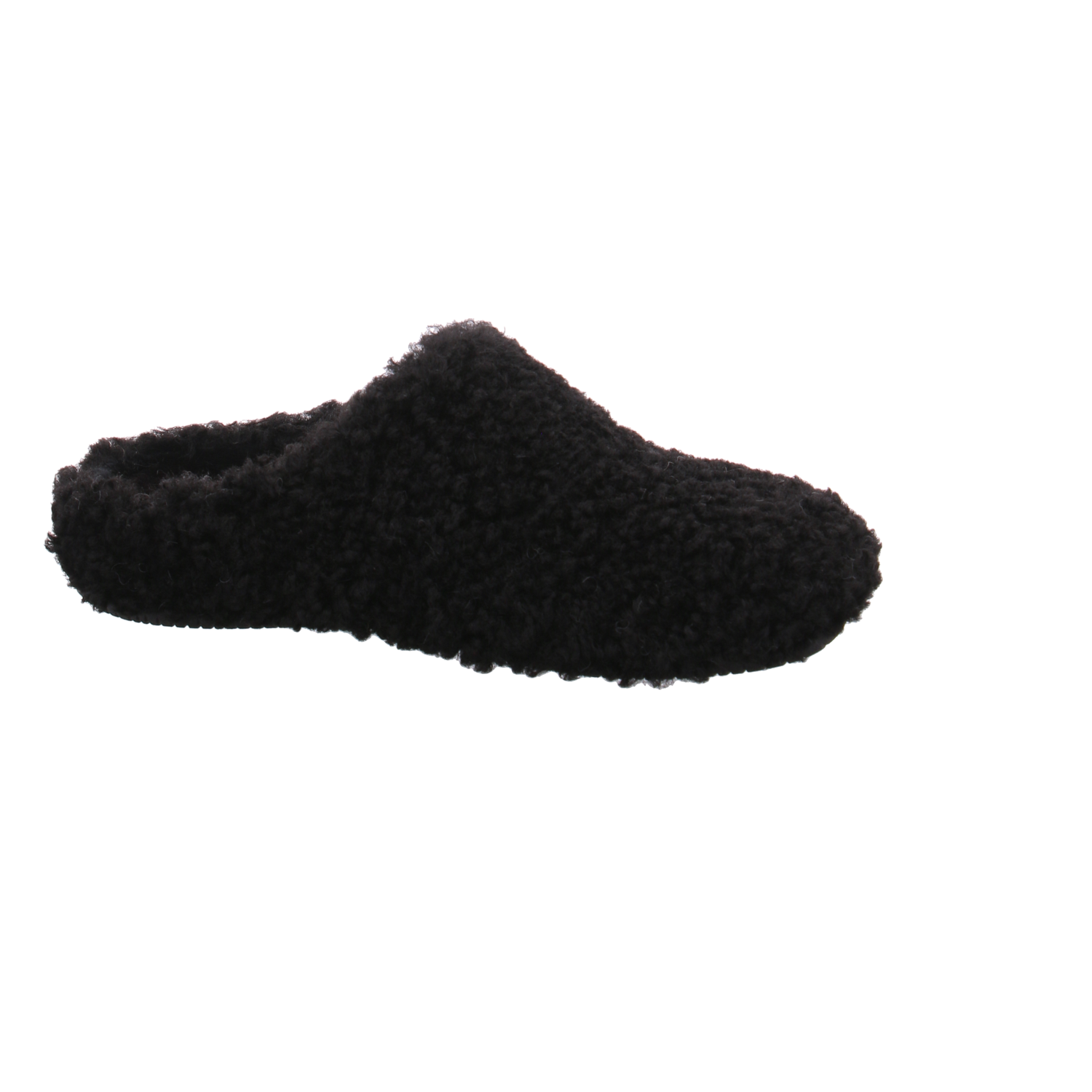 Verbenas York Curly negro