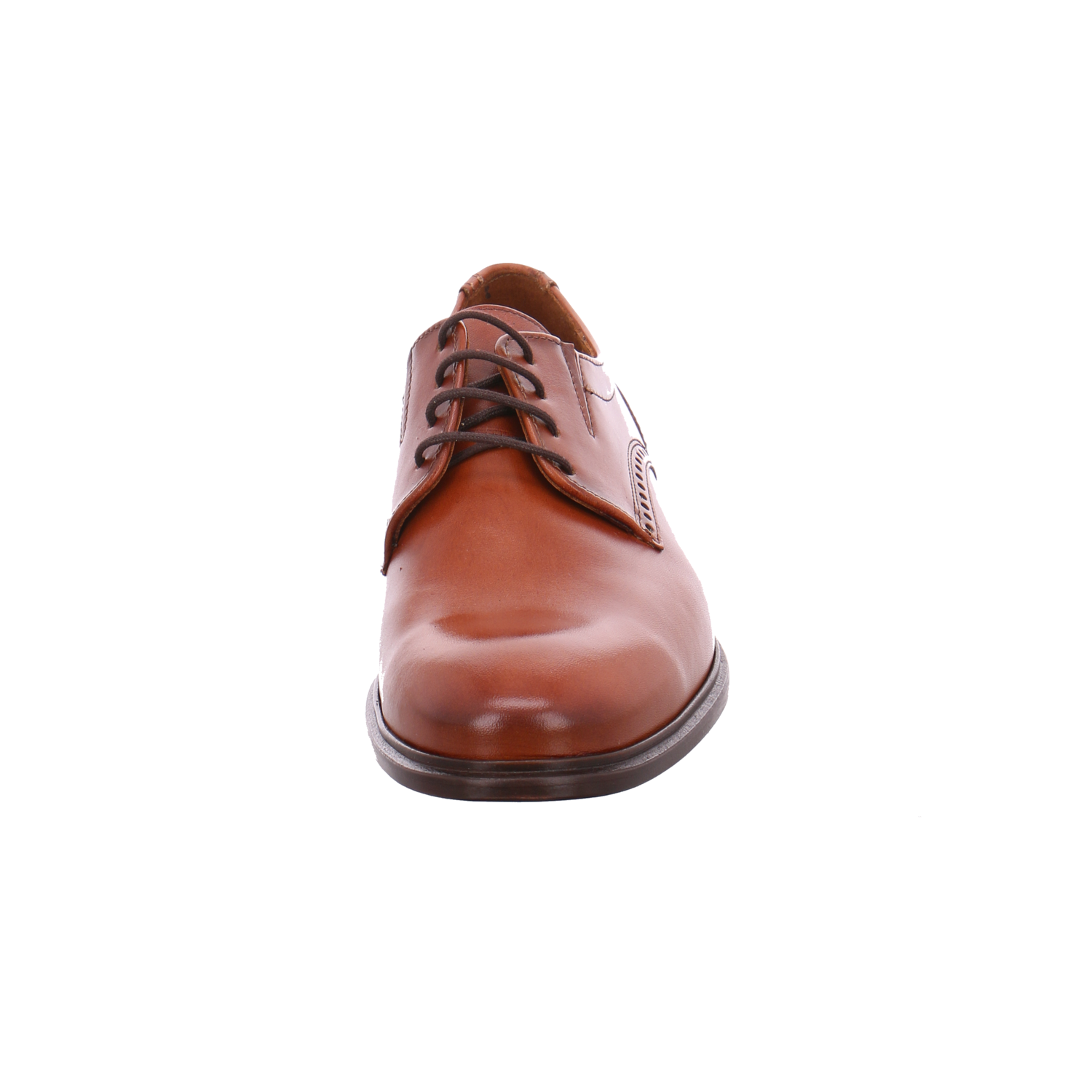 LLOYD 18-391-03  Koog