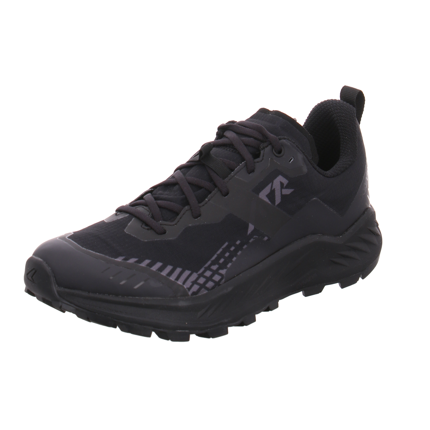 Lowa 321685 9999 Amplux 2GTX WS