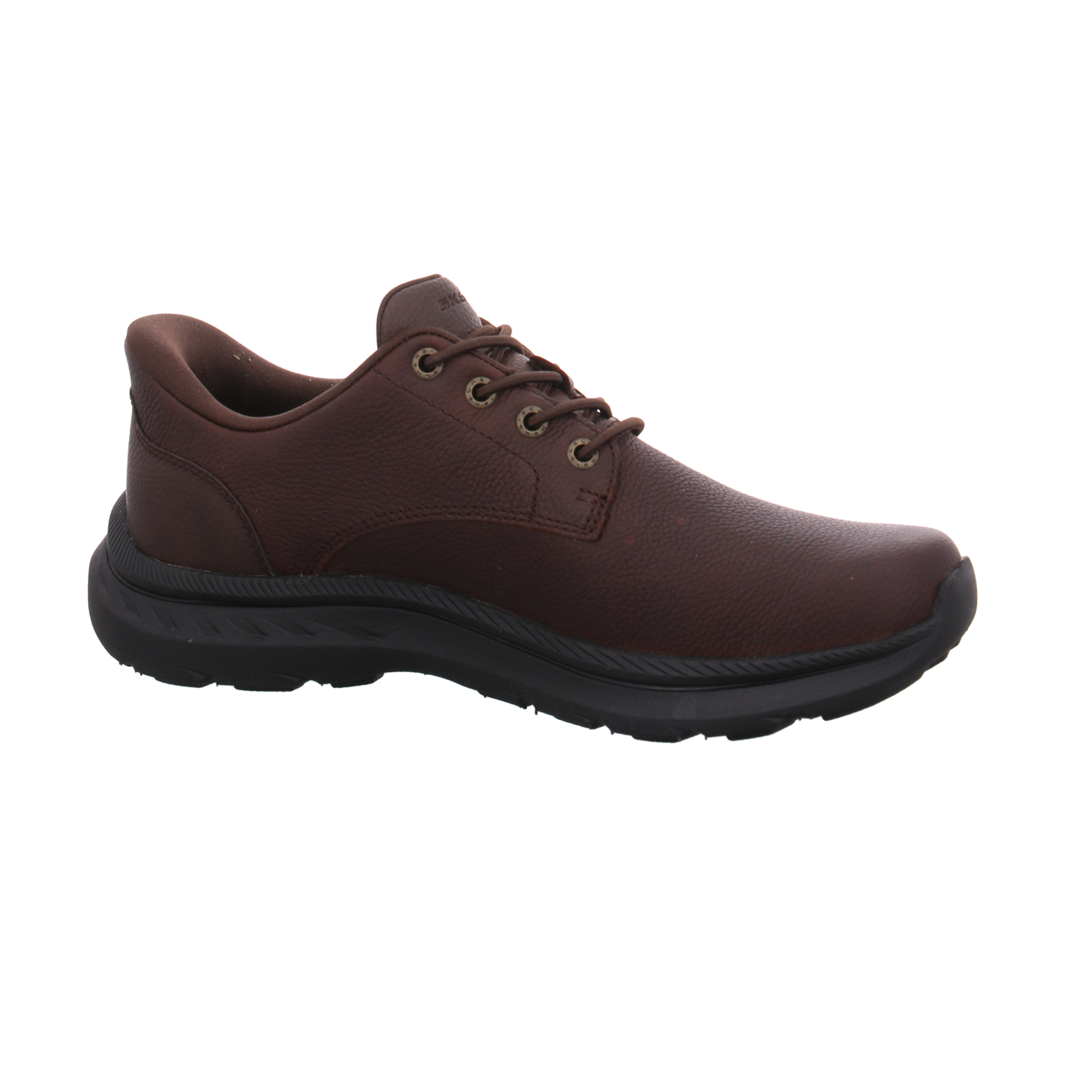 Skechers 205895  rdbr Pollard Colt